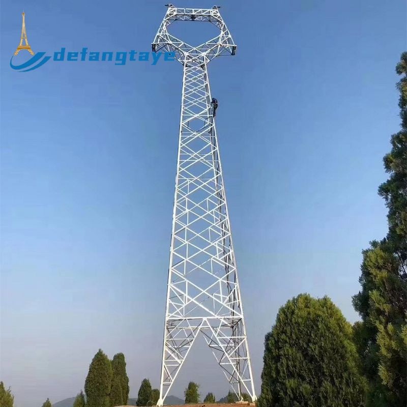 Double Circuit Tower